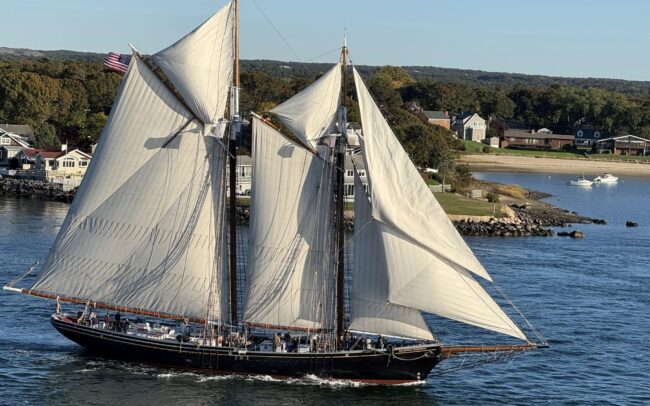 Ernestina Morrissey in the canal